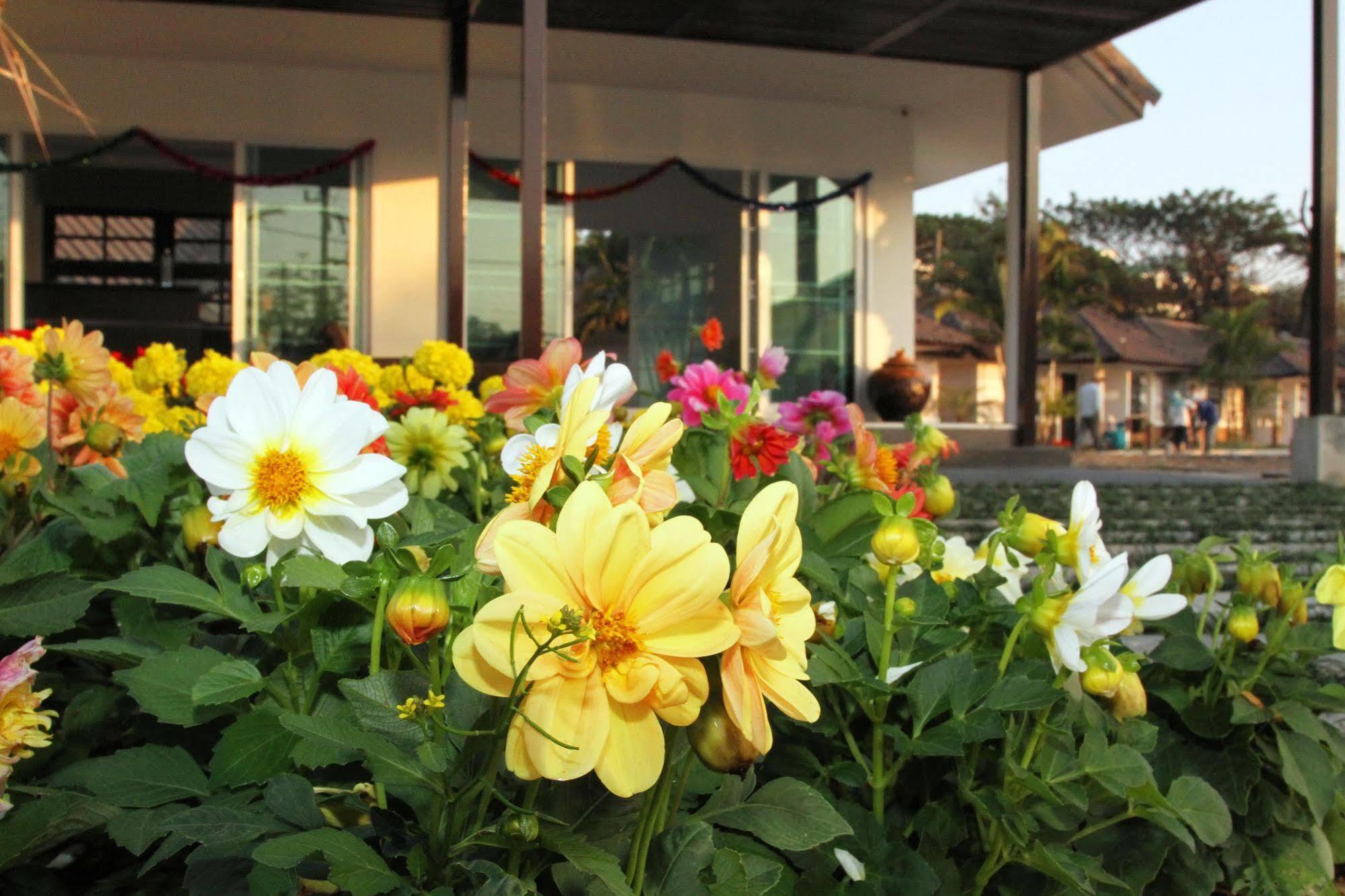 Chiangrai Green Park Resort Chiang Rai Bagian luar foto